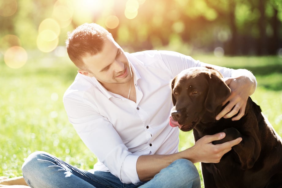 Young guy with retriever on walk in summer park